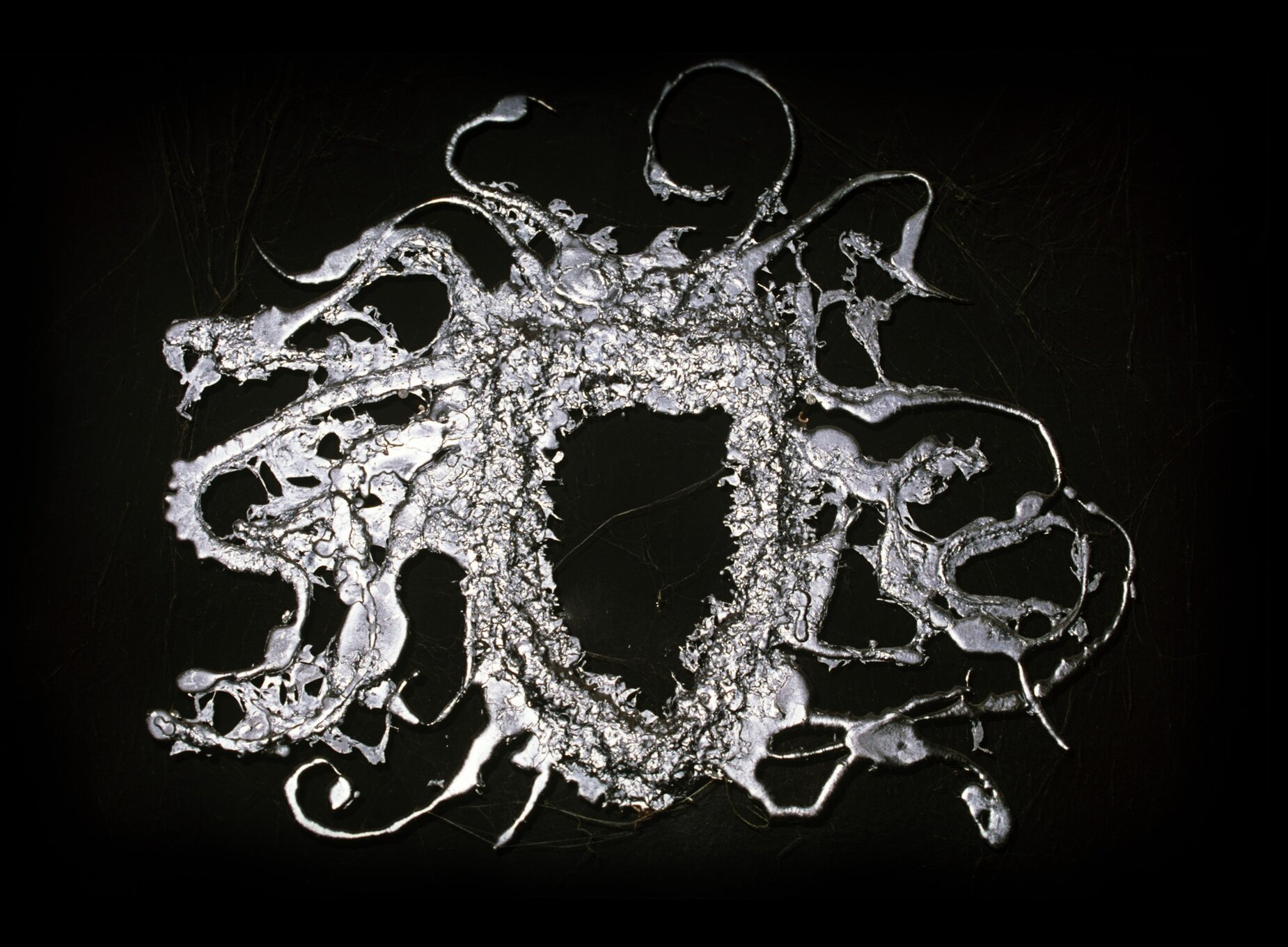 Robovi Meduze