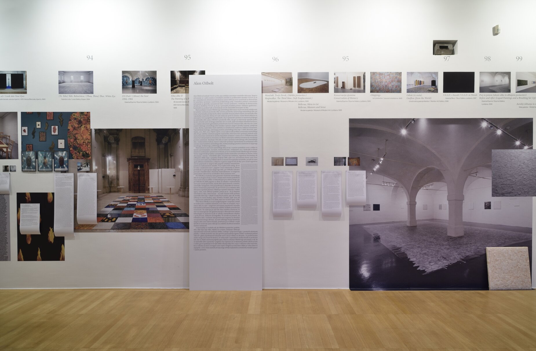 AAA3613