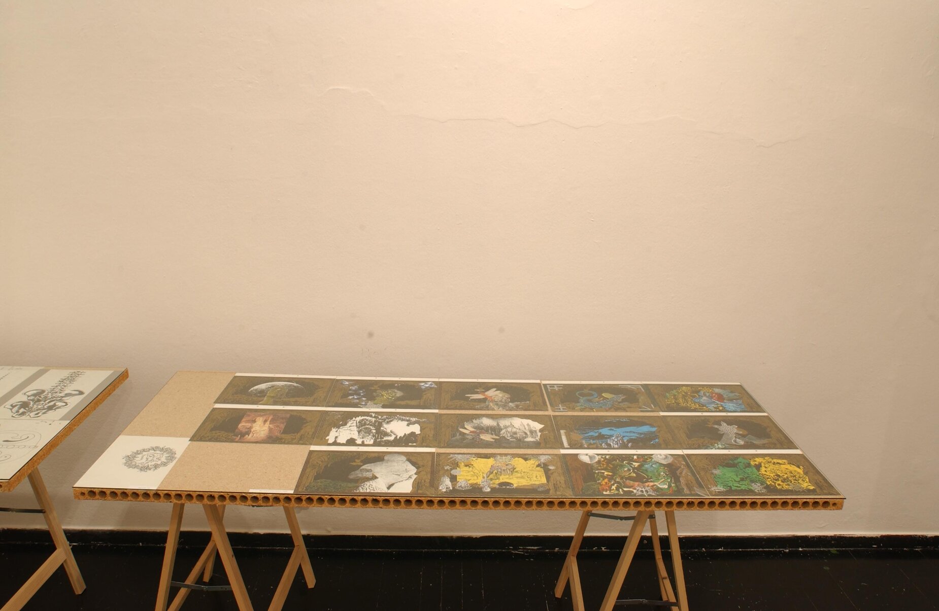 DSC 3370